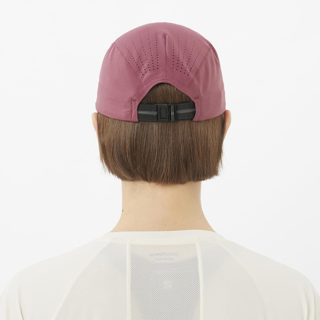 LC2632900-SHAKEout CAP