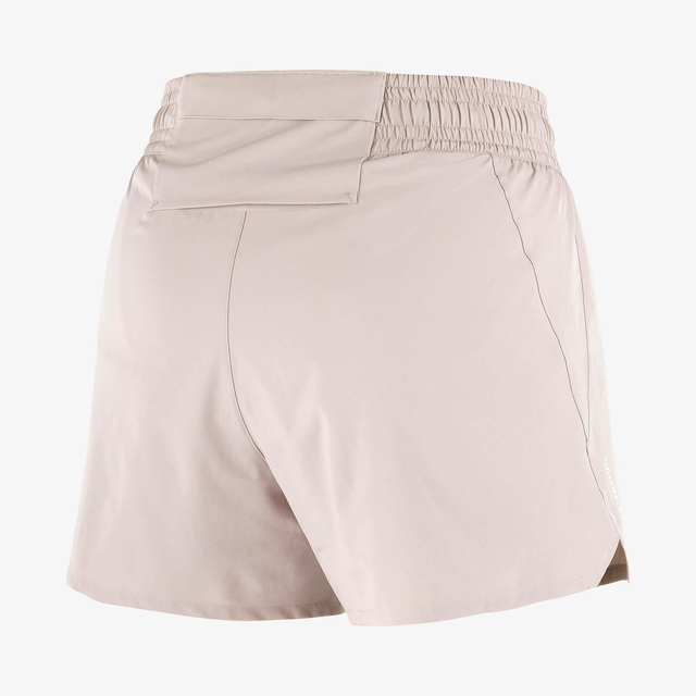 LC2687500-SHAKEout EASY 4