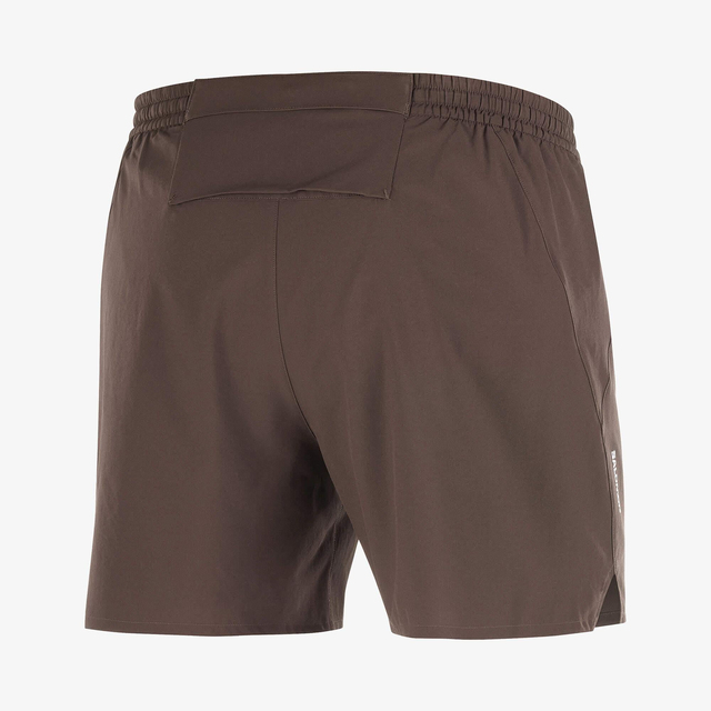 LC2687400-SHAKEout EASY 5