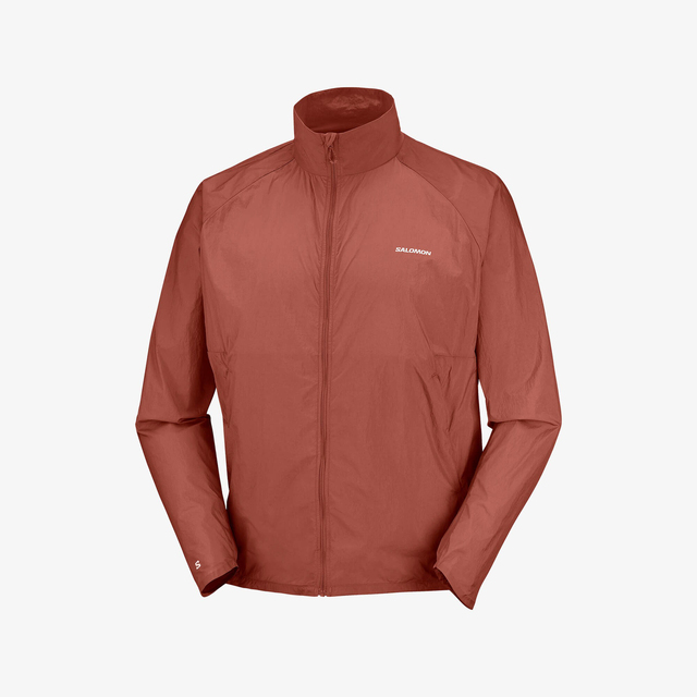 LC2948100-SHAKEout FLY