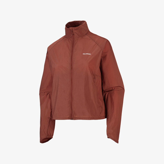 LC2950700-SHAKEout FLY