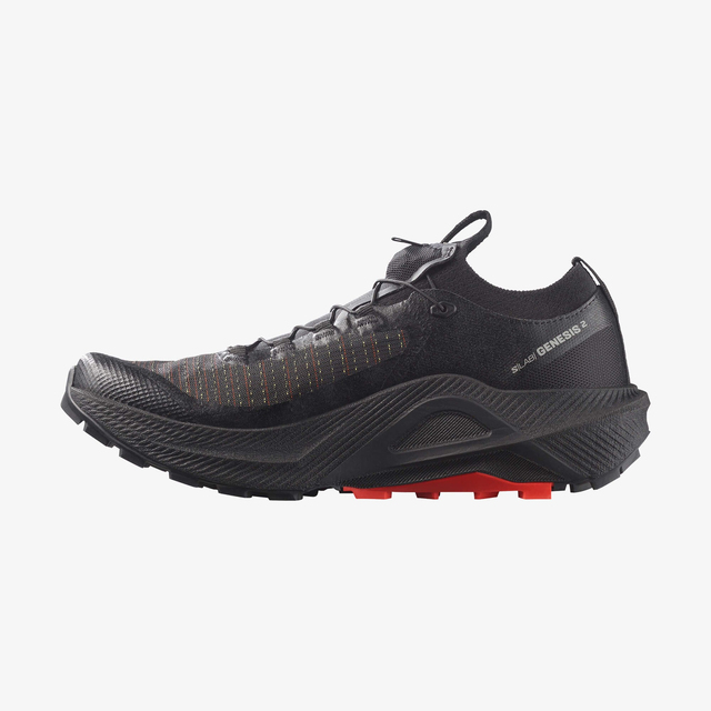 L49190100-S/LAB GENESIS 2