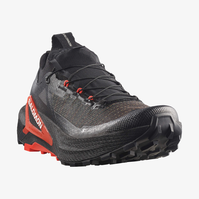 L49190100-S/LAB GENESIS 2