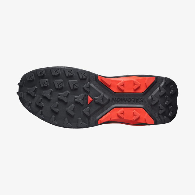 L49190100-S/LAB GENESIS 2