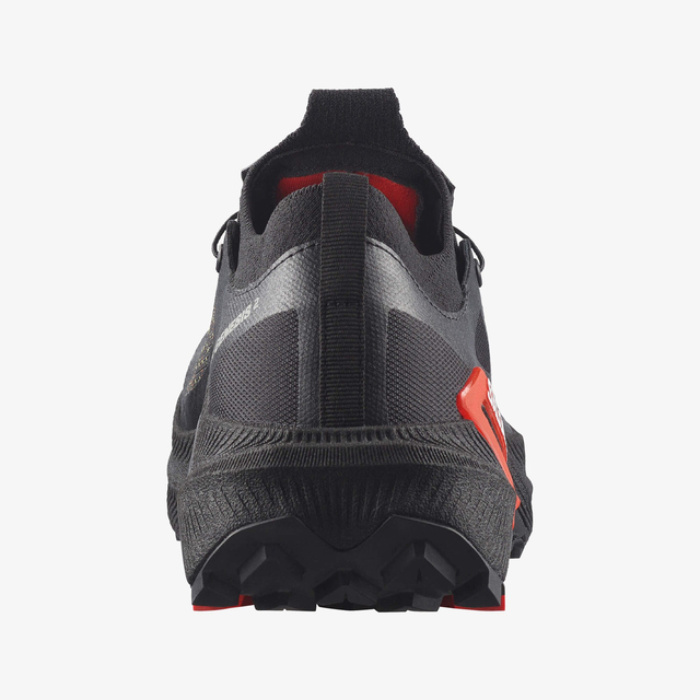 L49190100-S/LAB GENESIS 2