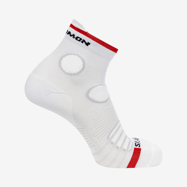 LC2087300-S/LAB PULSE ANKLE R+L