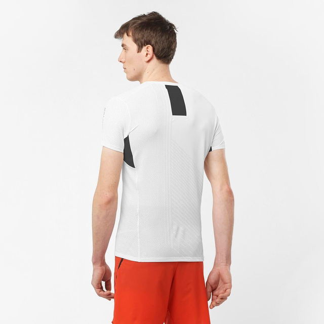 LC2126900-S/LAB SENSE TEE M