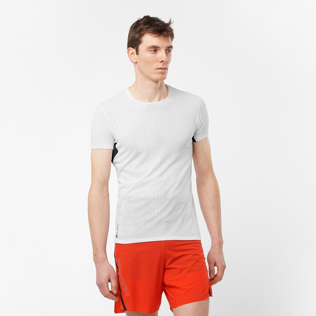 LC2126900-S/LAB SENSE TEE M