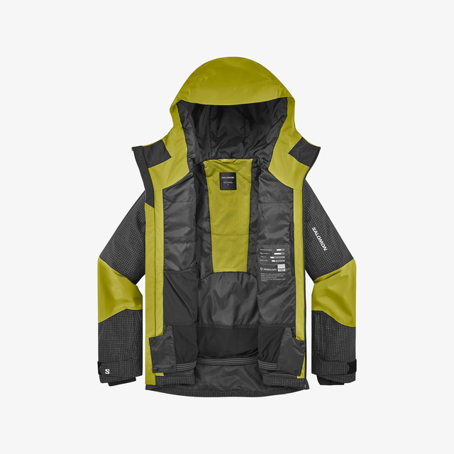 LC2933900-SPARK