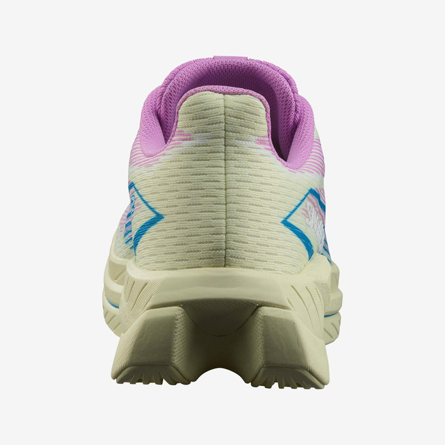 L47567100-SPECTUR 2 W