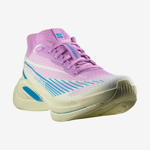 L47567100-SPECTUR 2 W