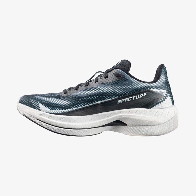 L49137400-SPECTUR 3
