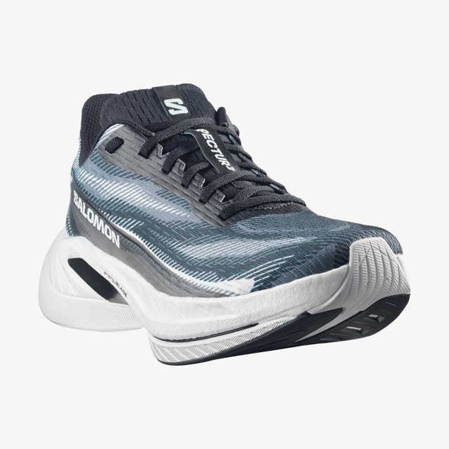 L49137400-SPECTUR 3