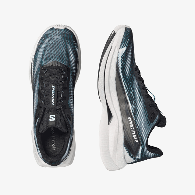 L49137400-SPECTUR 3
