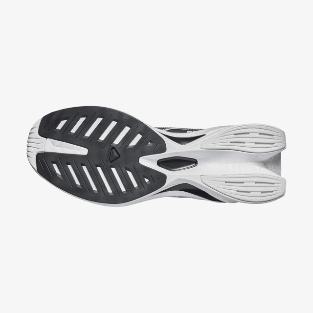 L49137400-SPECTUR 3