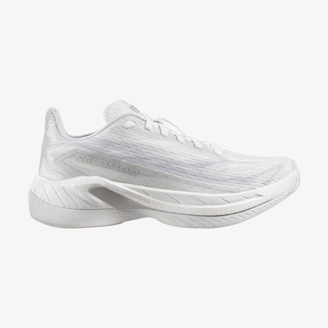 L49141500-SPECTUR 3