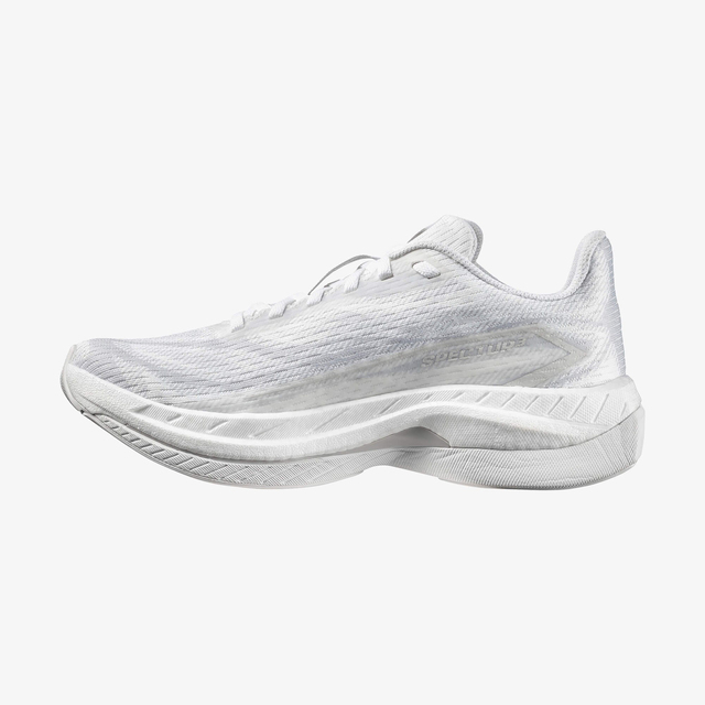 L49141500-SPECTUR 3