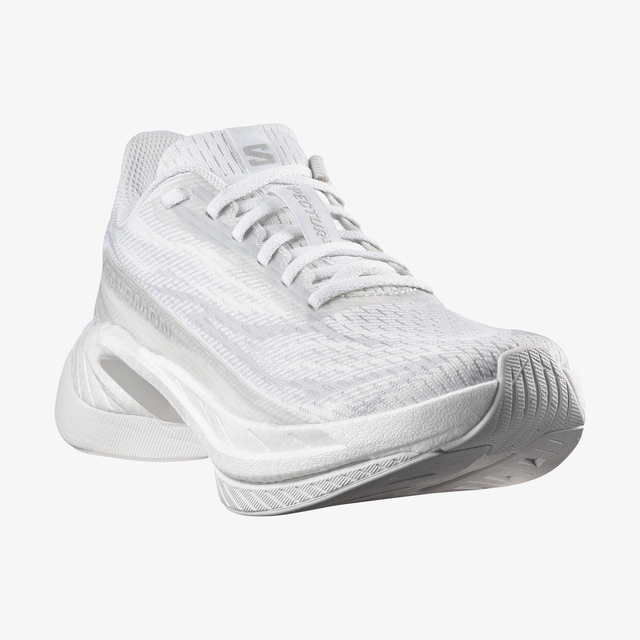 L49141500-SPECTUR 3