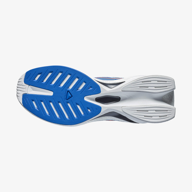 L49231400-SPECTUR 3