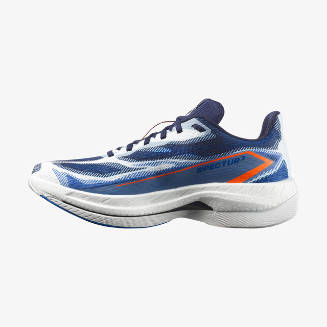 L49231400-SPECTUR 3