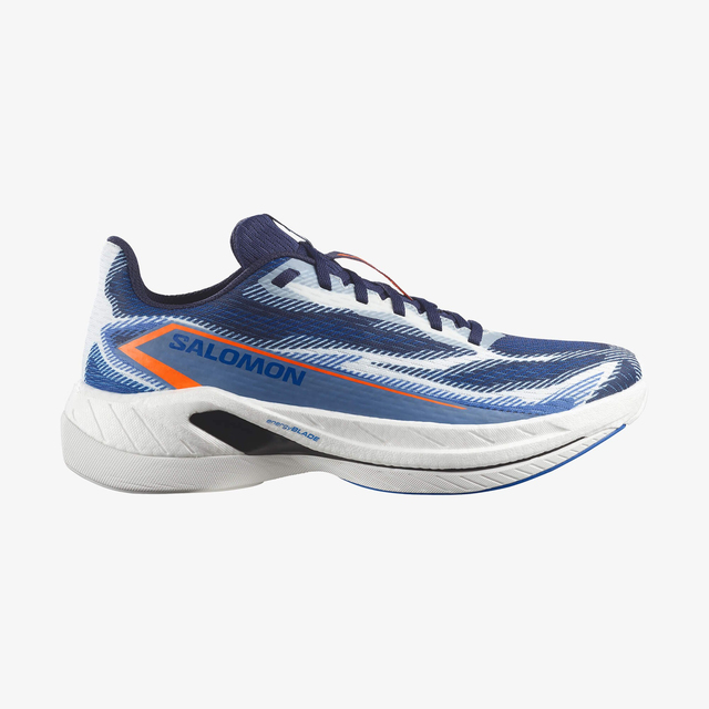 L49231400-SPECTUR 3