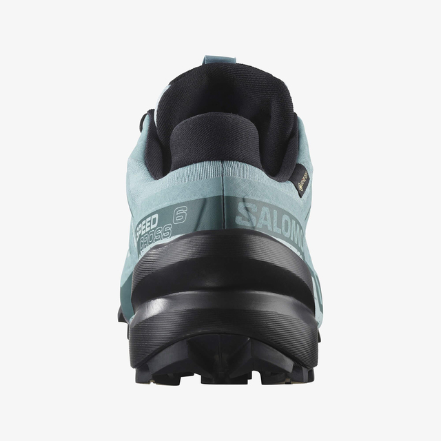 L47880100-SPEEDCROSS 6 GORE-TEX