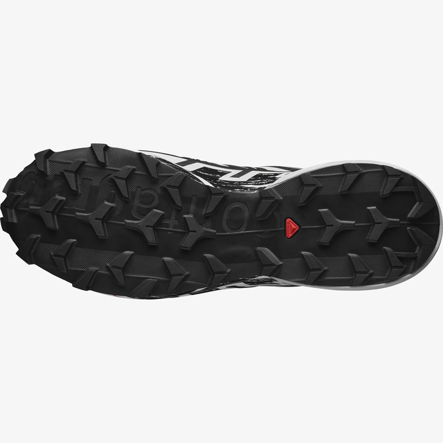 L41738900-SPEEDCROSS 6 GTX