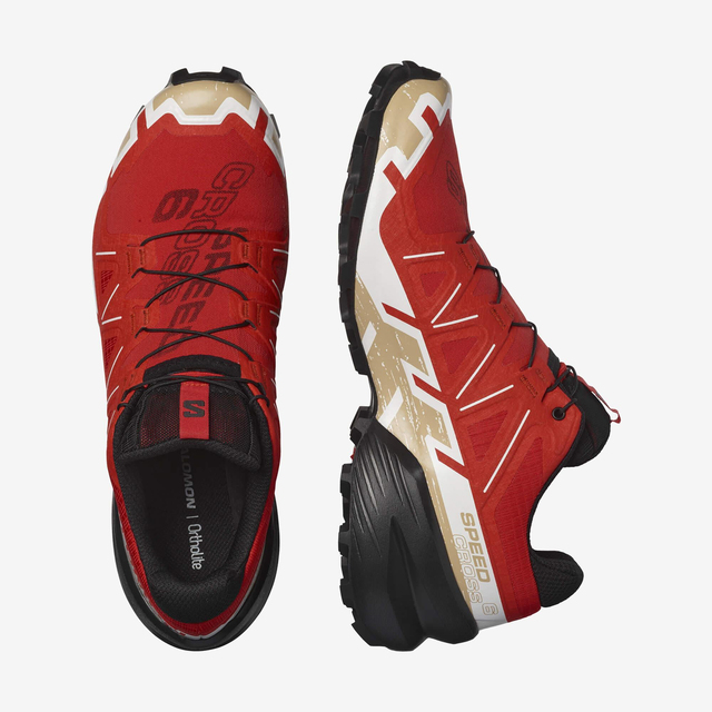 L41738200-SPEEDCROSS 6