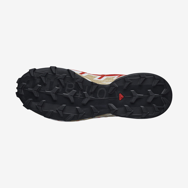 L41738200-SPEEDCROSS 6