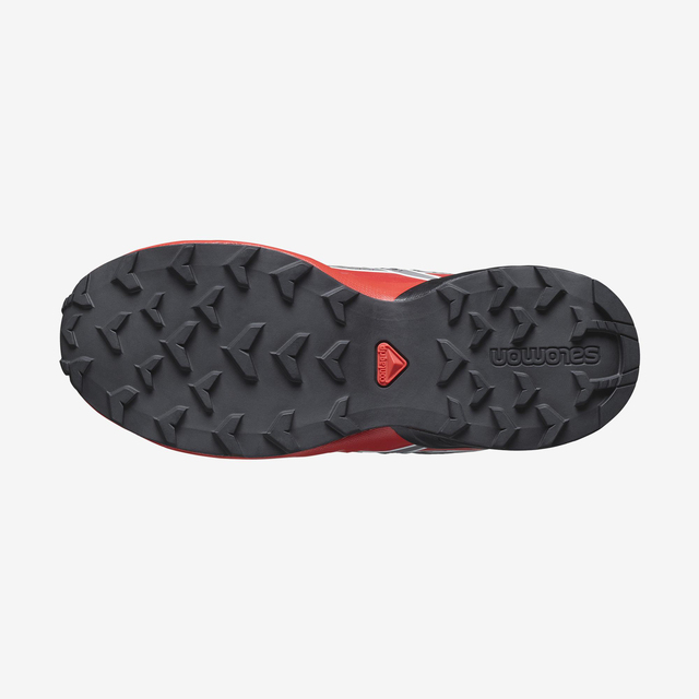 L47279200-SPEEDCROSS J