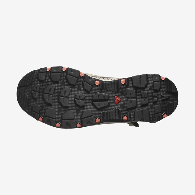 L47432400-TECHAMPHIBIAN 5 W