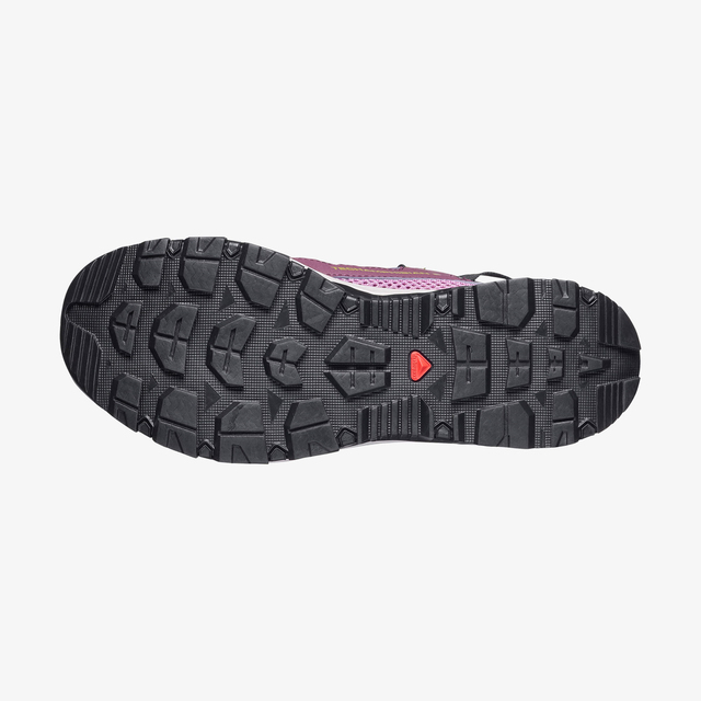 L49224700-TECHAMPHIBIAN 5 W