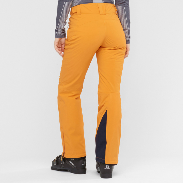 THE BRILLIANT PANT W