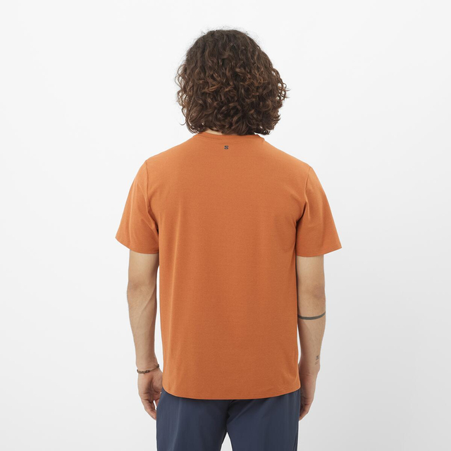 LC2438900-TRACKLINE SS TEE M
