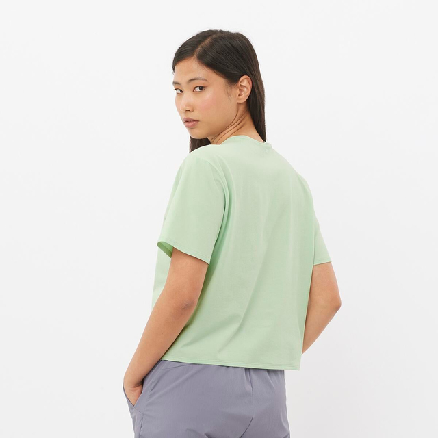 LC2442600-TRACKLINE SS TEE W
