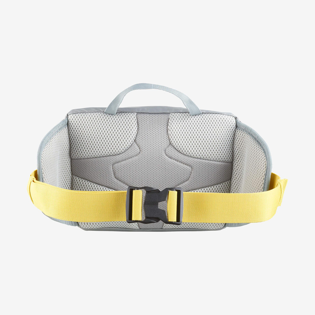 LC2463100-TRAILBLAZER BELT
