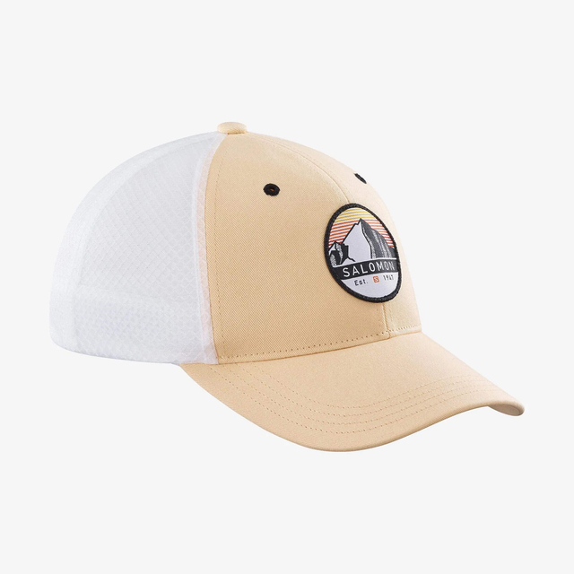 LC1681600-TRUCKER CURVED CAP