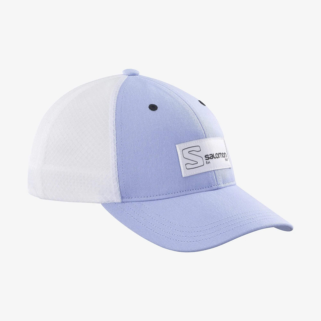 LC1681700-TRUCKER CURVED CAP