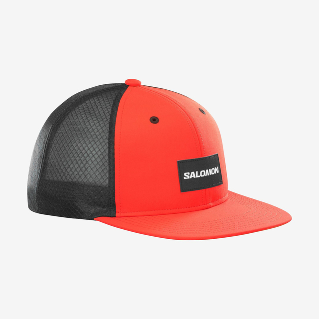 LC2232000-TRUCKER FLAT CAP