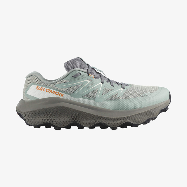 L45473900-ULTRA FLOW 2 GORE-TEX