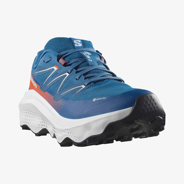 L47981500-ULTRA FLOW 2 GORE-TEX