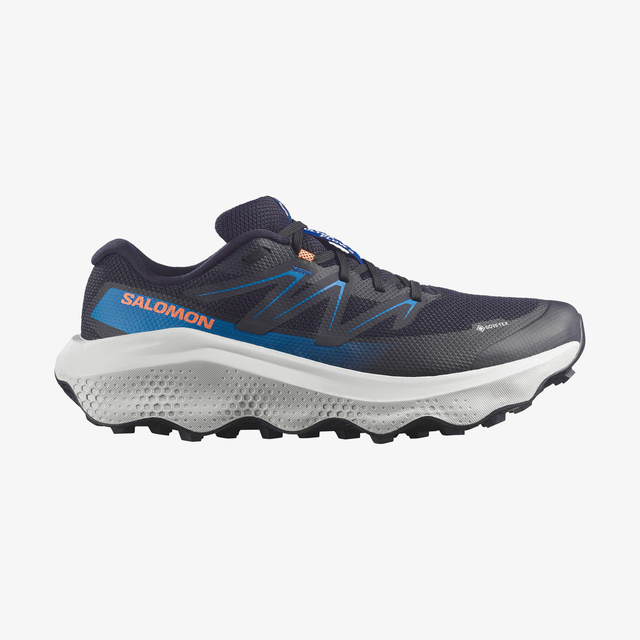L49299300-ULTRA FLOW 2 GORE-TEX