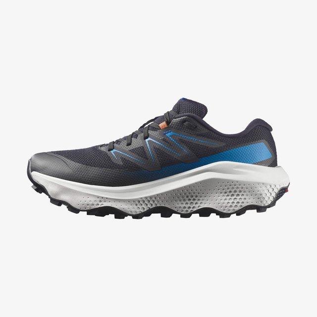 L49299300-ULTRA FLOW 2 GORE-TEX