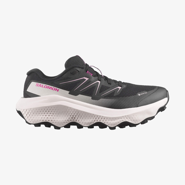 L49299500-ULTRA FLOW 2 GORE-TEX