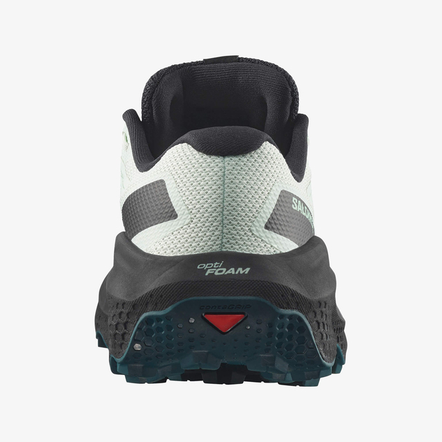 L49299600-ULTRA FLOW 2 GORE-TEX