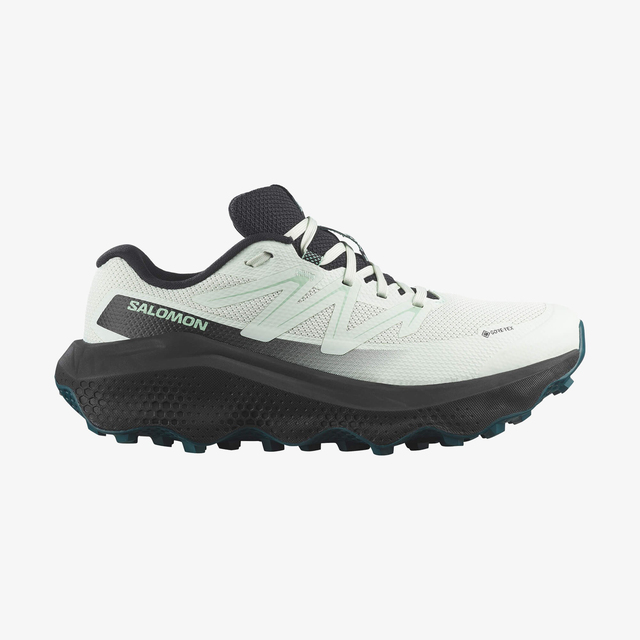 L49299600-ULTRA FLOW 2 GORE-TEX