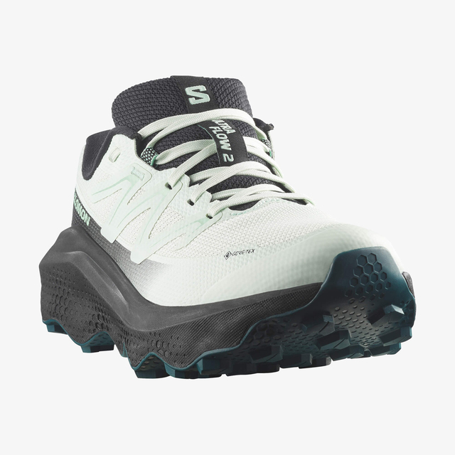 L49299600-ULTRA FLOW 2 GORE-TEX