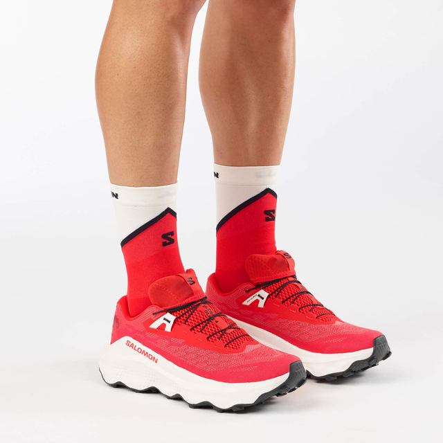 L49221300-ULTRA GLIDE 4