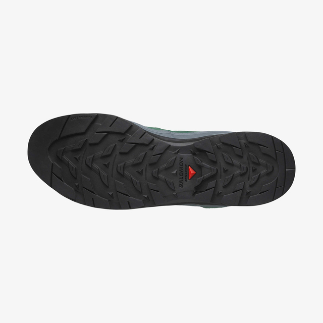 L49196500-X-ALP LEATHER