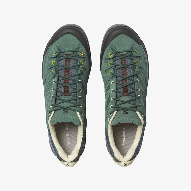 L49196500-X-ALP LEATHER